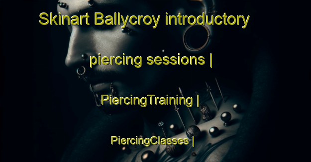 Skinart Ballycroy introductory piercing sessions | PiercingTraining | PiercingClasses | SkinartTraining-Canada